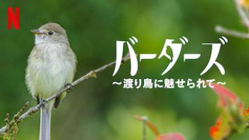 バーダーズ ～渡り鳥に魅せられて～の評価・感想