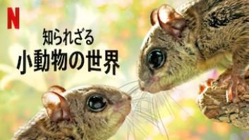 知られざる小動物の世界の評価・感想