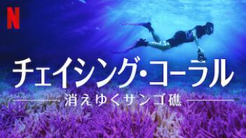 チェイシング・コーラル －消えゆくサンゴ礁－の評価・感想