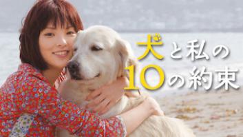 犬と私の10の約束の評価・感想