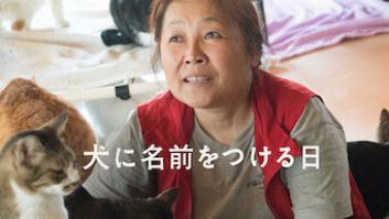 犬に名前をつける日の評価・感想