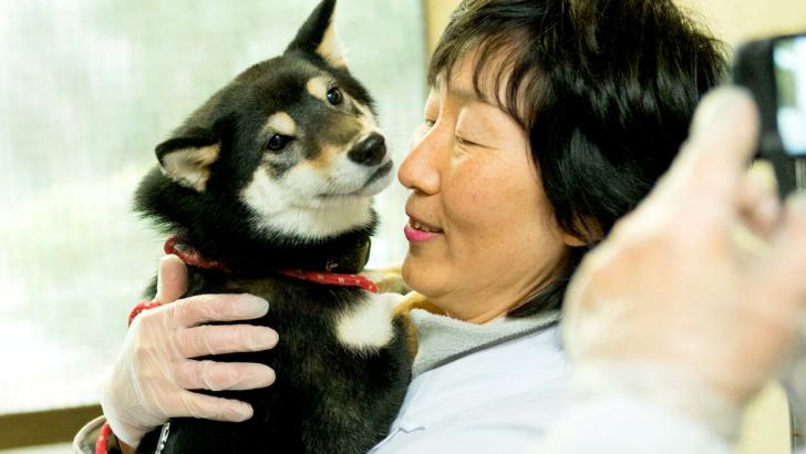 犬に名前をつける日の画像 (メイン)